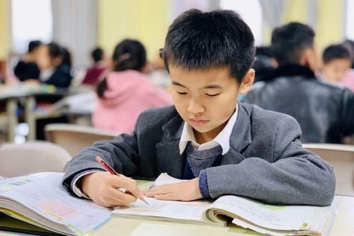 教育改革新戰略即將落地，家長心態需理性調整
