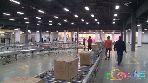 中國-東盟（河口）跨境電商物流產(chǎn)業(yè)園開園 陜西貨物進出口迎來新通道